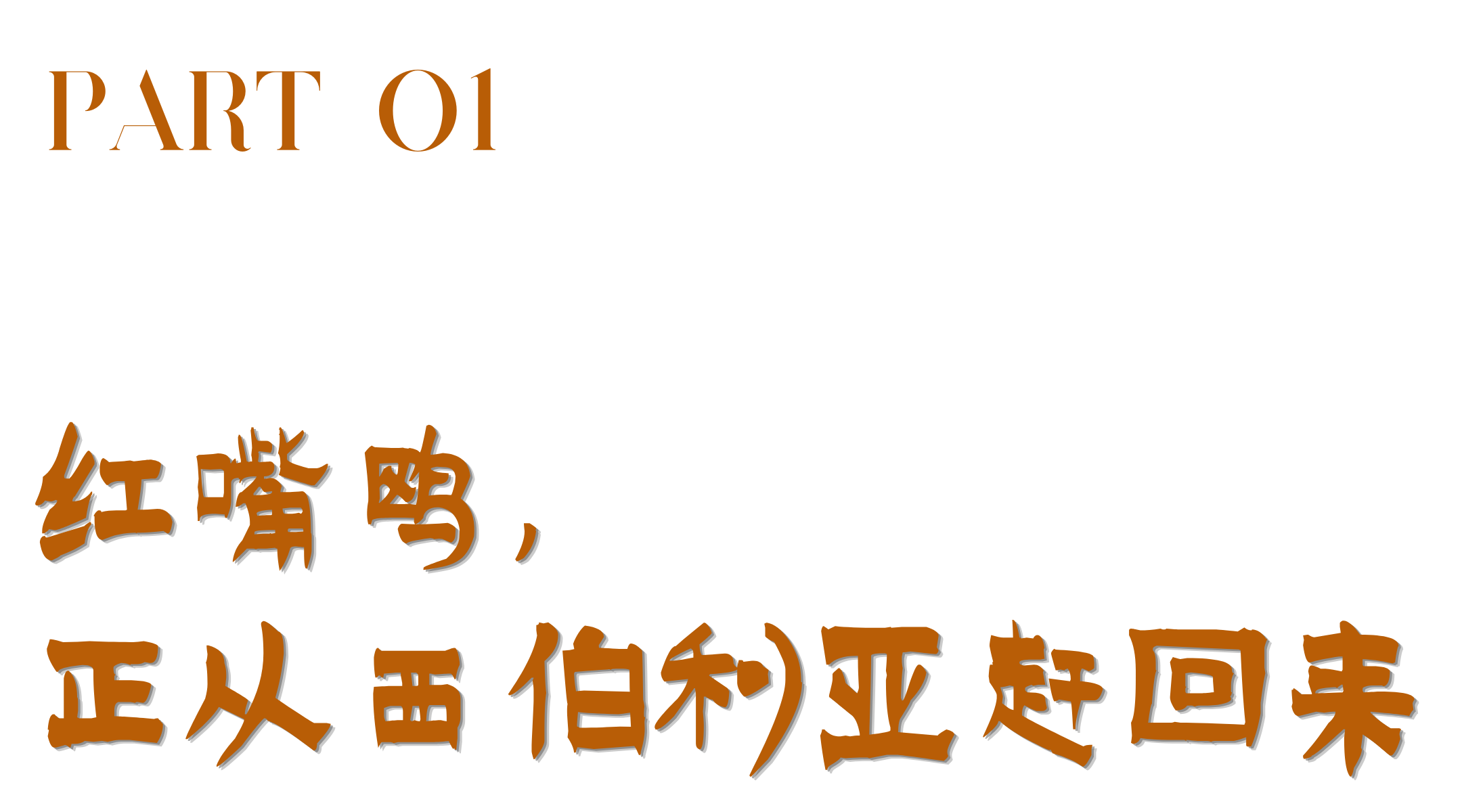 1792633839284149.png 2.png